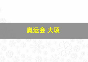 奥运会 大项